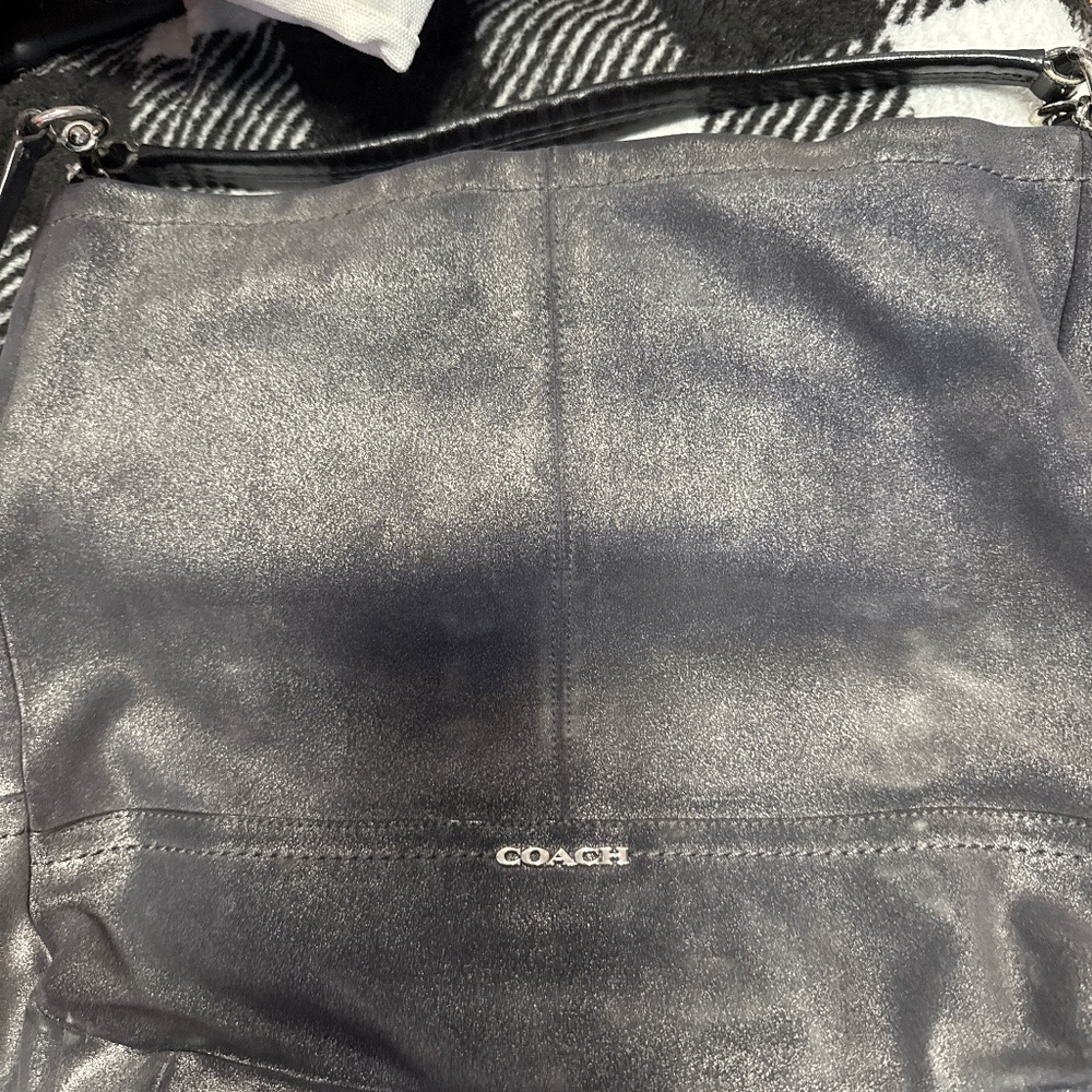 Coach Metallic Suede hobo